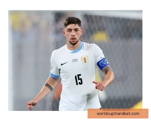 深度前瞻2026世界杯各强队潜在阵容名单预测与冠军格局分析